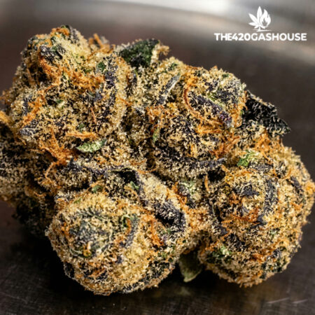 Buy Girl Scout Cookies strain