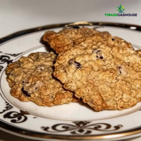 Oatmeal Chocolate Chip Cookie