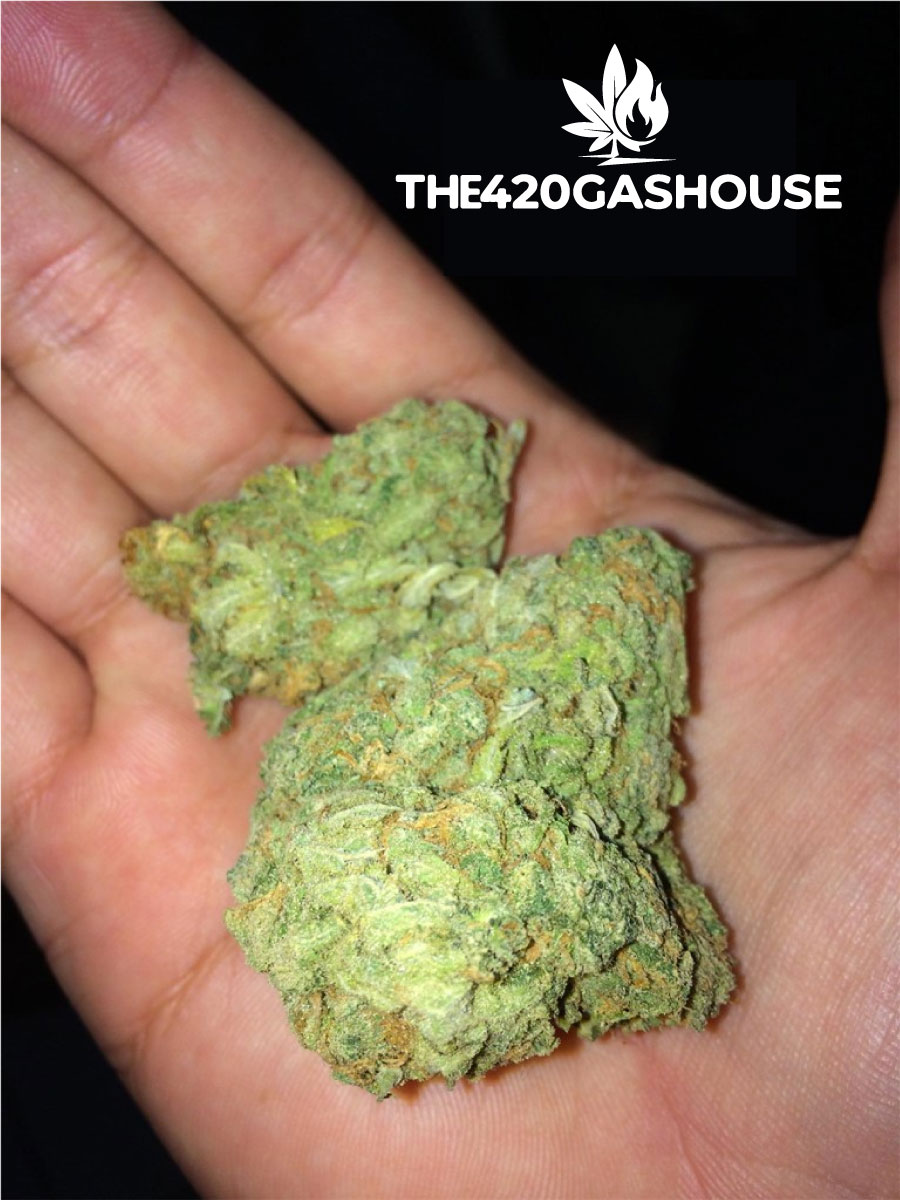 White Voodoo