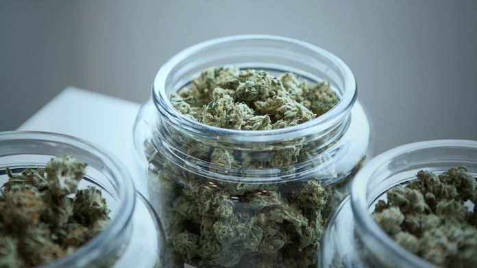 weed smell like picklesy