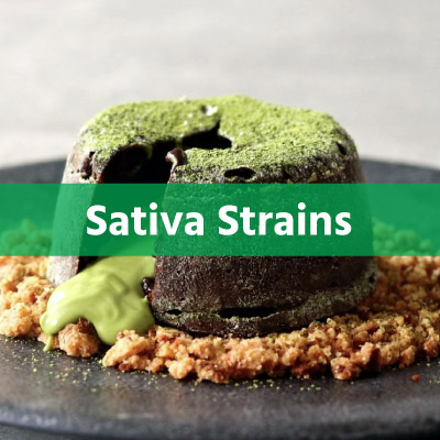 Sativa
